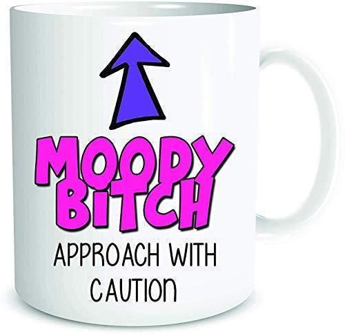 Funny Moody Mug: Rude Joke Coffee Cup, Birthday Gift