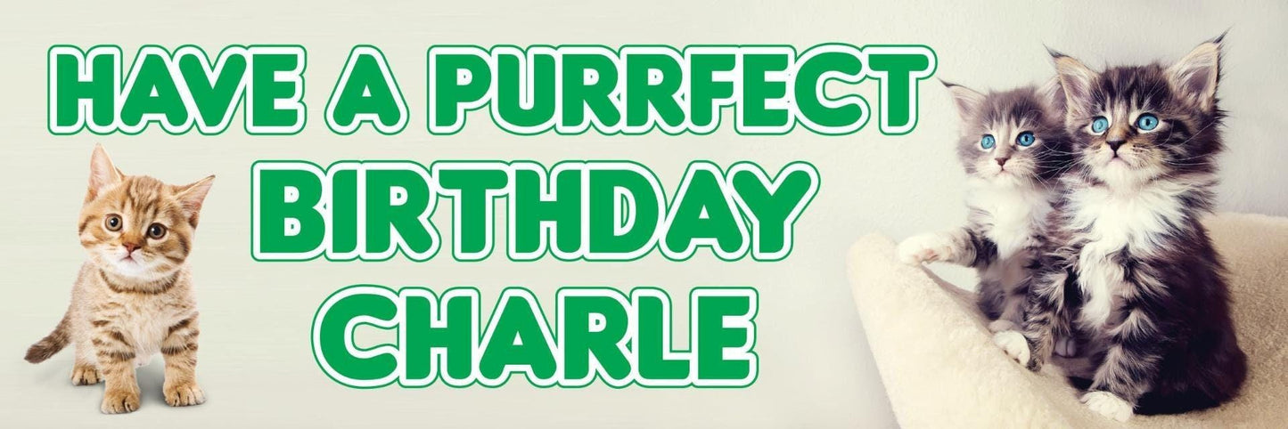 2 Personalised Cat Purrfect Day Birthday Celebration Banners Decoration Posters