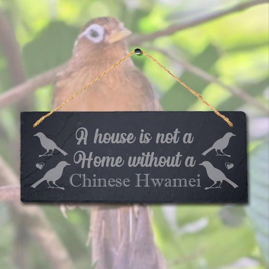House Is Not Home Without Chines Hwamei Engraved Hanging Slate Bird Plaque Sign