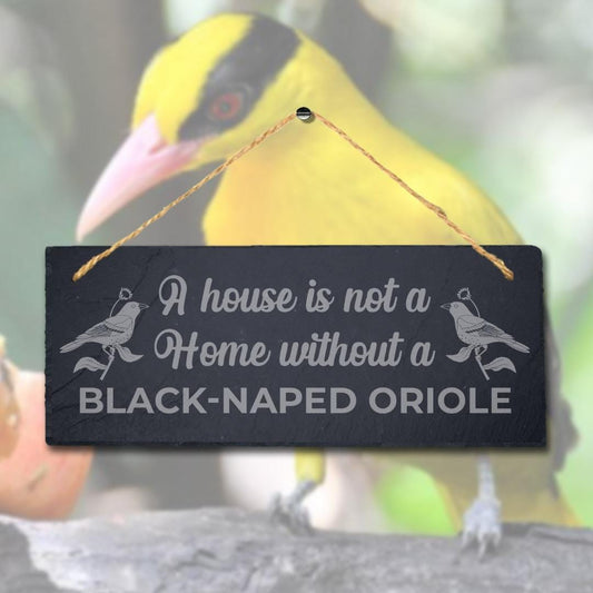 A House Is Not Home Without Black Naped Oriole Engraved Hanging Slate Bird Sign