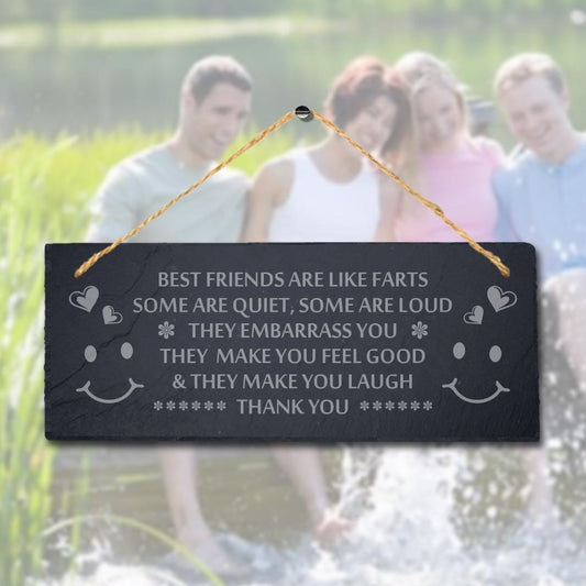 Best Friends Laser Engraved Hanging Slate Friendship Rude Funny Gift Plaque Sign