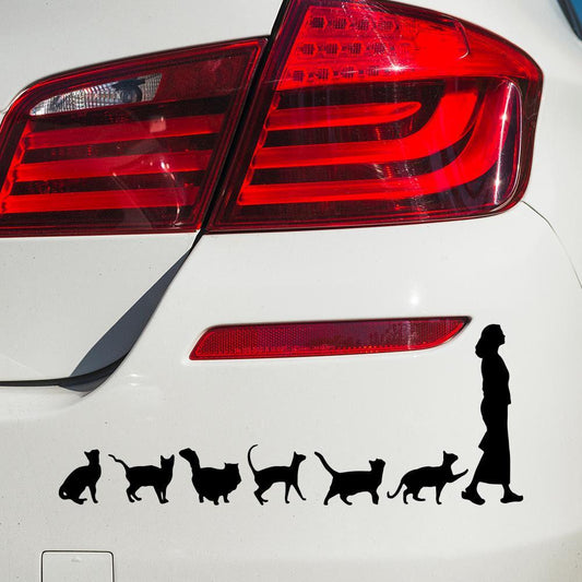 Crazy Cat Lady Scratch Car Bumper Window Vinyl Sticker Decal
