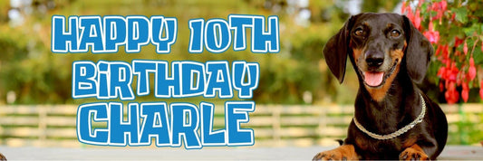 2 Personalised Dachsund Sausage Dog Birthday Party Celebration Banners Posters