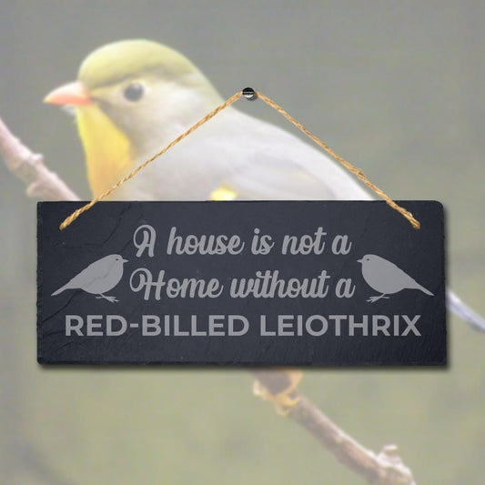 House Is Not Home Without Red Billed Leiothrix Engraved Hanging Slate Bird Sign