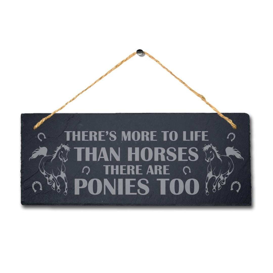 There Is More To Life Than Horses Engraved Hanging Slate Shed Pet Plaque Sign