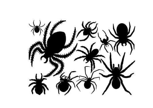 Spooky Spider Crawling Halloween Scary Vinyl Decal Sticker Car Window Wall Art
