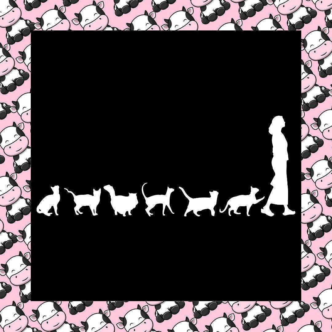 Crazy Cat Lady Scratch Car Bumper Window Vinyl Sticker Decal