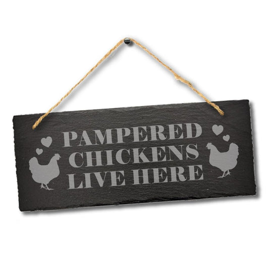 Pampered Chicken Live Here Engraved Hanging Slate Funny Shed Gift Plaque Sign
