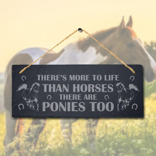 There Is More To Life Than Horses Engraved Hanging Slate Shed Pet Plaque Sign