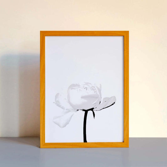 Peony Flower Bedroom Minimalist Plants Wall Art Home Room Decor Print Poster