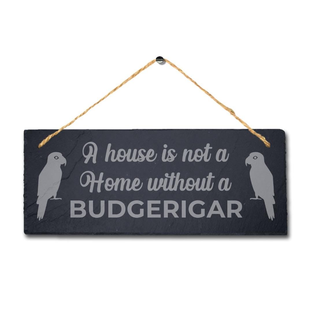 A House Is Not Home Without Budgerigar Engraved Hanging Slate Bird Plaque Sign