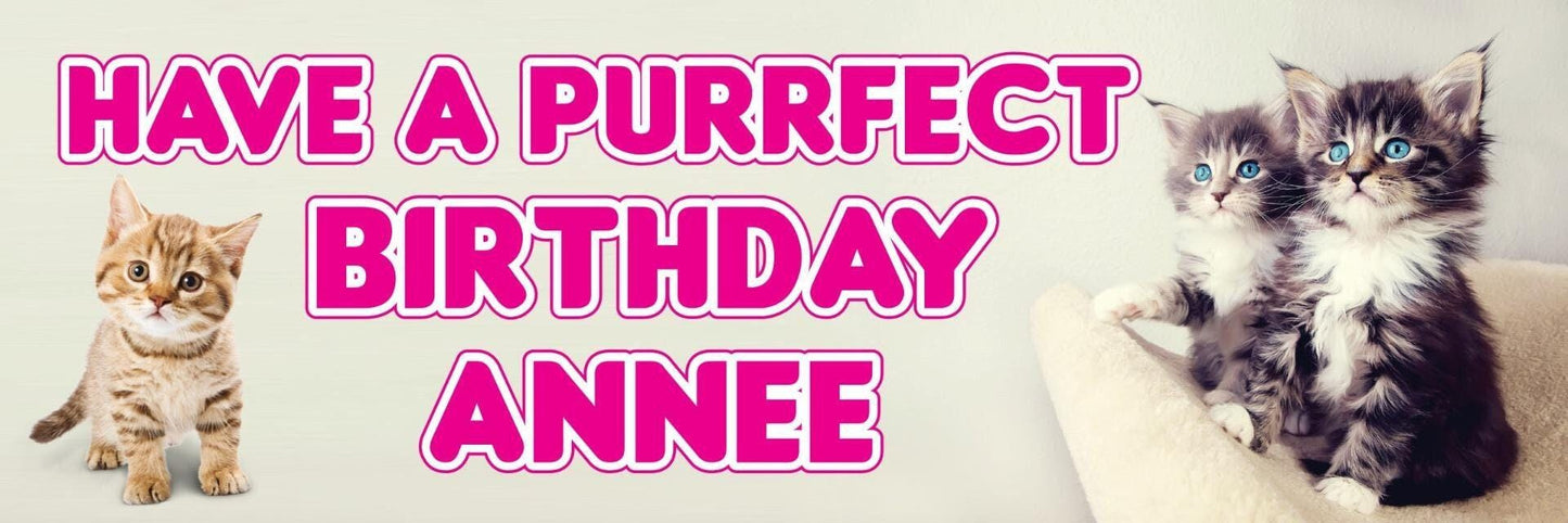 2 Personalised Cat Purrfect Day Birthday Celebration Banners Decoration Posters