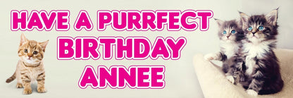 2 Personalised Cat Purrfect Day Birthday Celebration Banners Decoration Posters