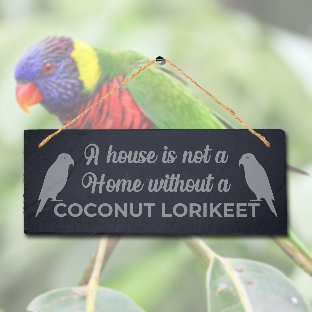 House Not Home Without Coconut Lorikeet Engraved Hanging Slate Bird Plaque Sign