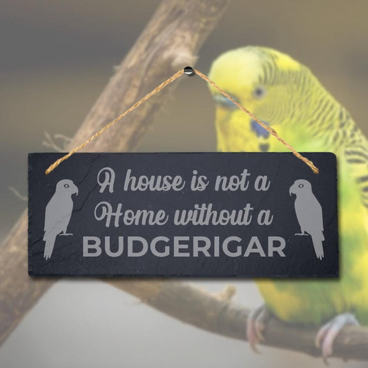 A House Is Not Home Without Budgerigar Engraved Hanging Slate Bird Plaque Sign
