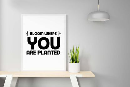 Bloom Where You Planted Motivational Inspirational Positive Quote Poster Wall