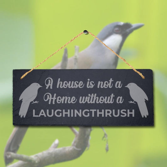 House Is Not Home Without Laughingthrush Laser Engraved Hanging Slate Bird Sign