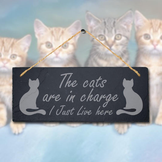 The Cats Are In Charge I Live Here Laser Engraved Hanging Slate Pet Plaque Sign