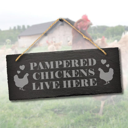 Pampered Chicken Live Here Engraved Hanging Slate Funny Shed Gift Plaque Sign