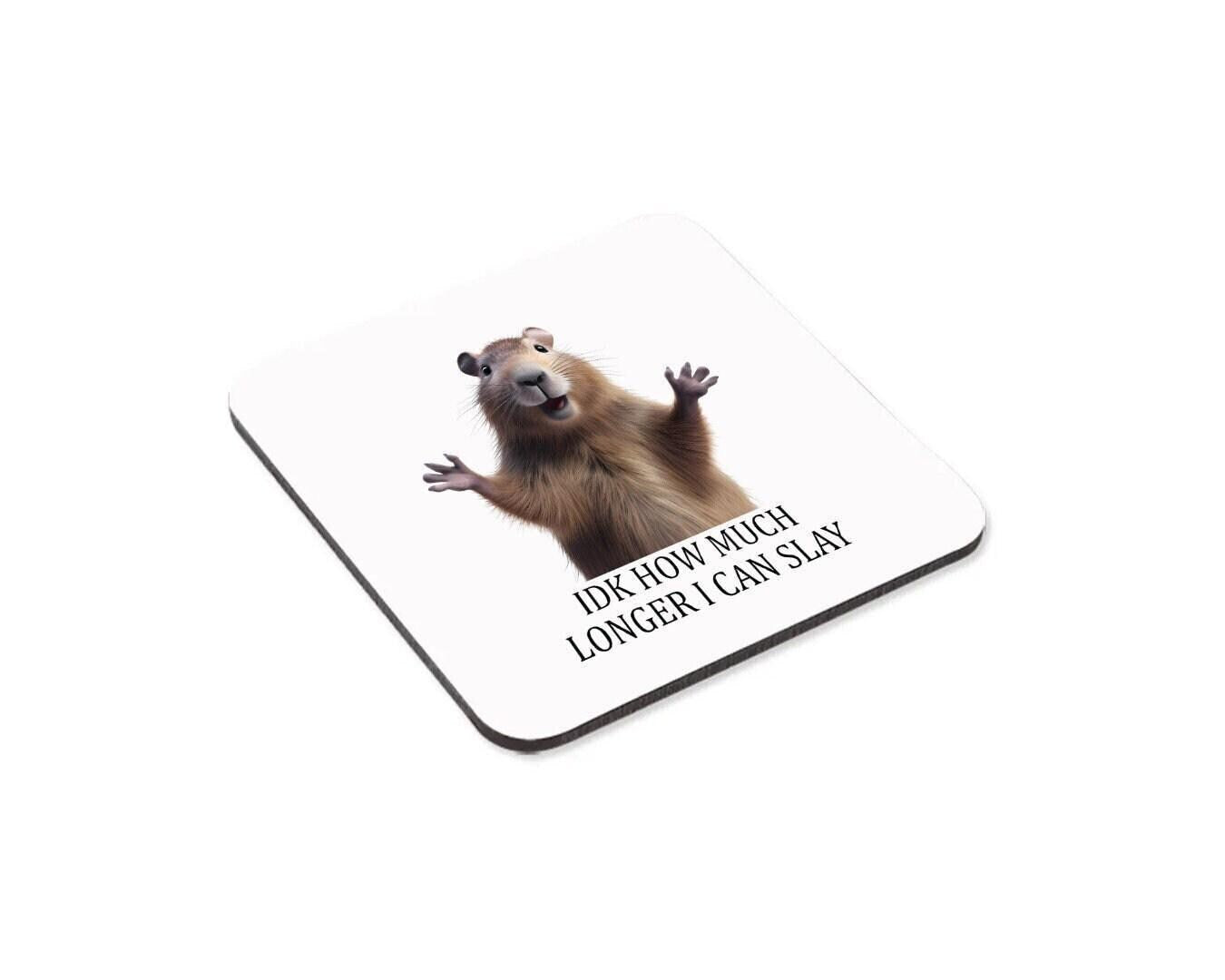Funny Sarcastic Coffee Mug & Coaster Set - 'Idk How Much Longer I Can Slay'
