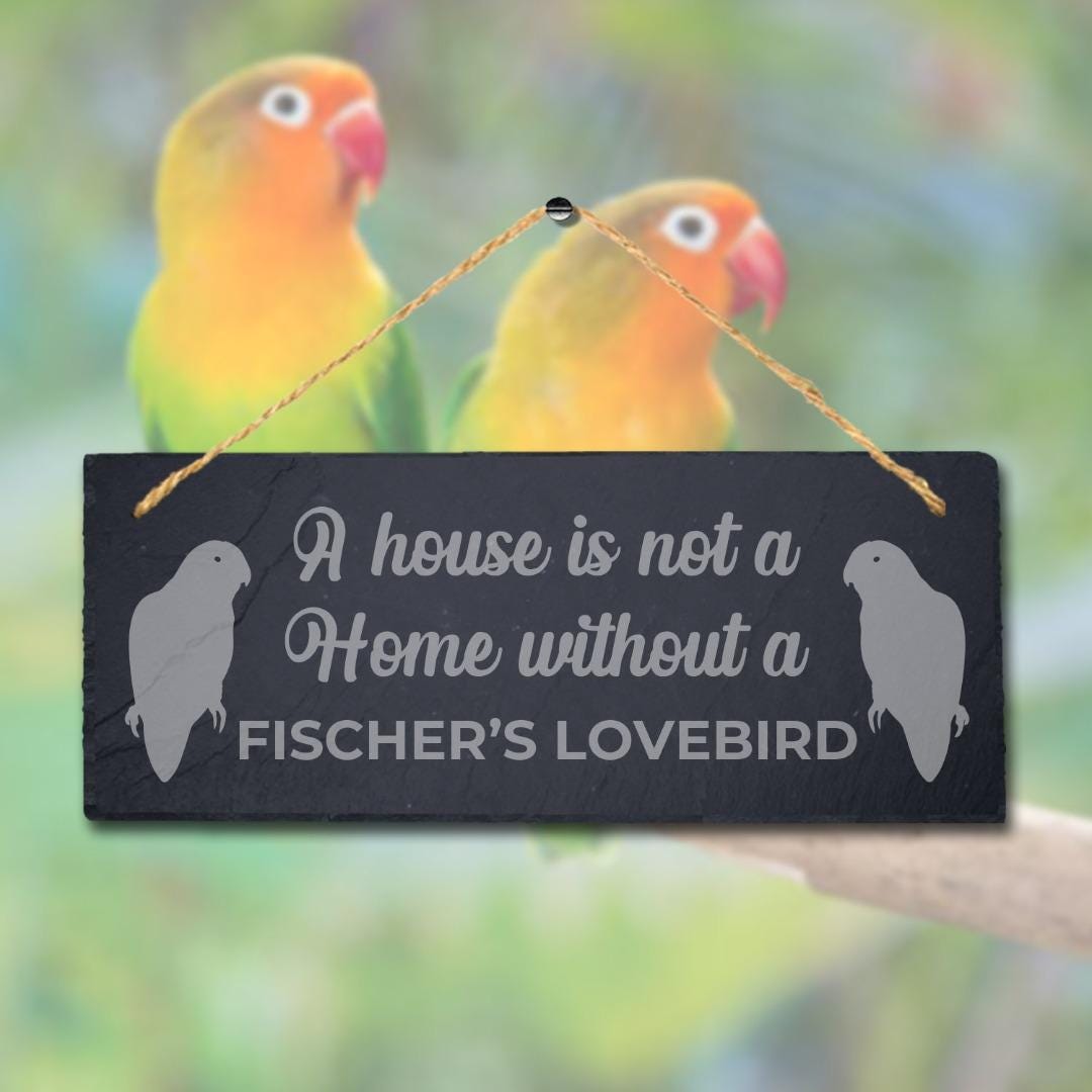 House Not Home Without Fischers Lovebird Laser Engraved Hanging Slate Bird Sign