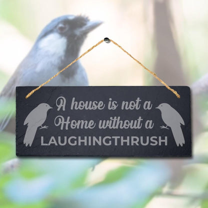 House Is Not Home Without Laughingthrush Laser Engraved Hanging Slate Bird Sign
