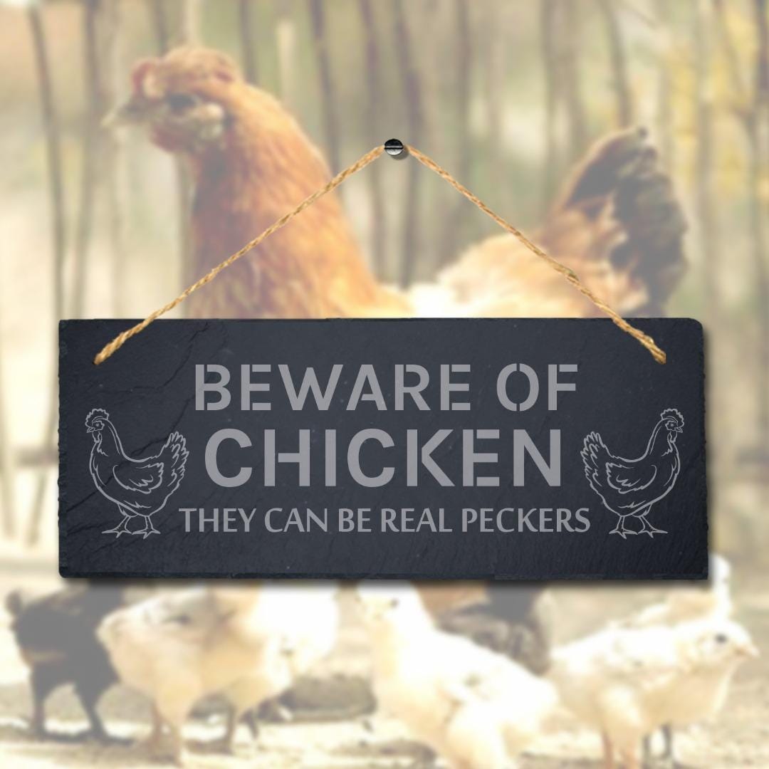 Beware Of Chicken They Can Be Real Peckers Hanging Slate Chick Shed Plaque Sign