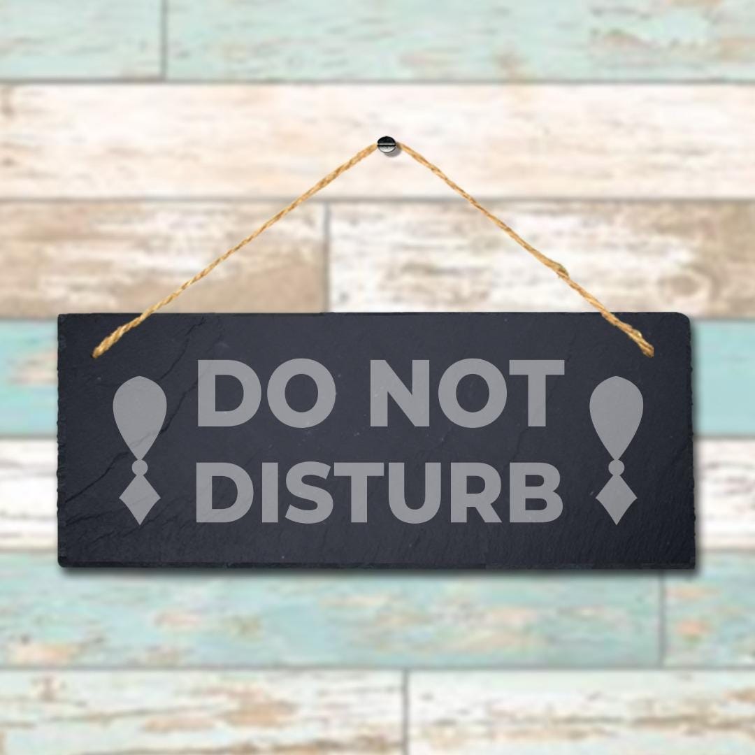 Do Not Disturb Laser Engraved Hanging Slate Room Office Home Decor Plaque Sign