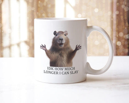 Funny Sarcastic Coffee Mug & Coaster Set - 'Idk How Much Longer I Can Slay'