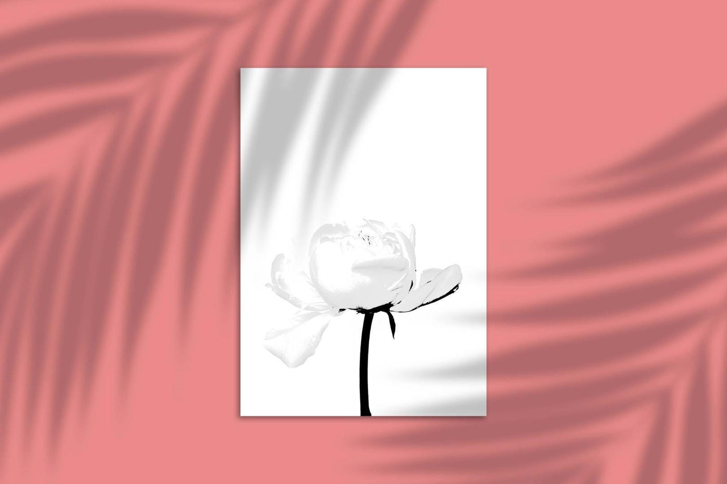 Peony Flower Bedroom Minimalist Plants Wall Art Home Room Decor Print Poster