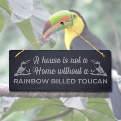 House Is Not Home Without Rainbow Billed Toucan Engraved Hanging Slate Bird Sign