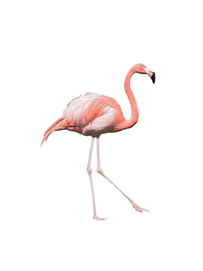 Flamingo Kids Bedroom Woodland Forest Birds Wall Art Home Decor Print Poster