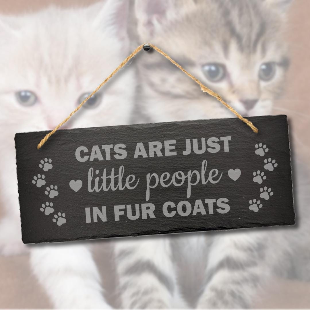 Cats Are Just Little People Humorous Engraved Hanging Slate Home Decor Plaque