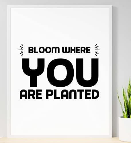 Bloom Where You Planted Motivational Inspirational Positive Quote Poster Wall