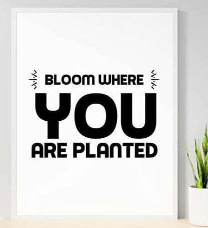 Bloom Where You Planted Motivational Inspirational Positive Quote Poster Wall
