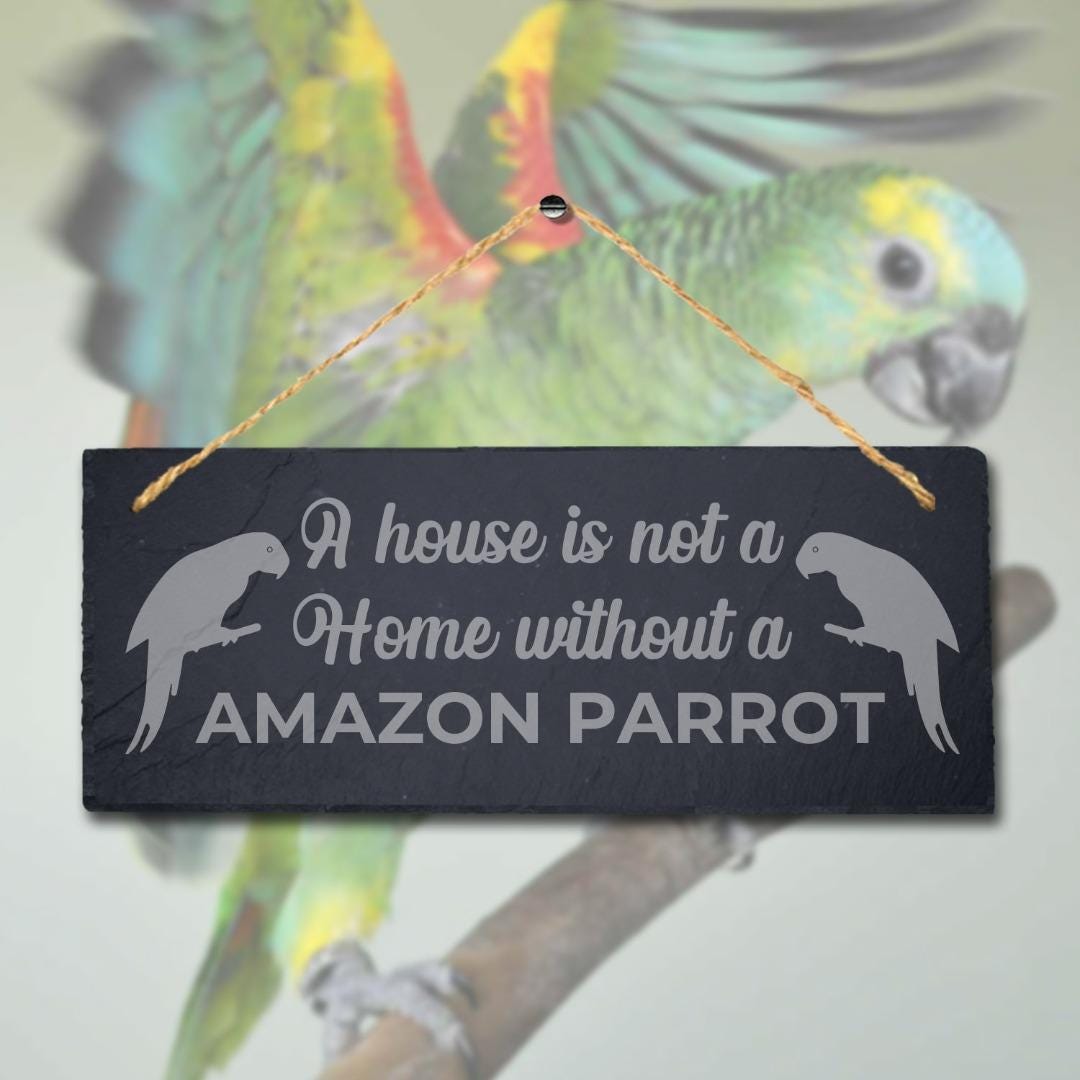 House Is Not Home Without Amazon Parrot Engraved Hanging Slate Bird Plaque Sign