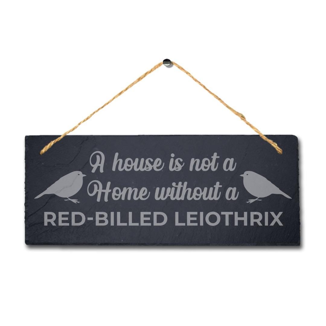 House Is Not Home Without Red Billed Leiothrix Engraved Hanging Slate Bird Sign