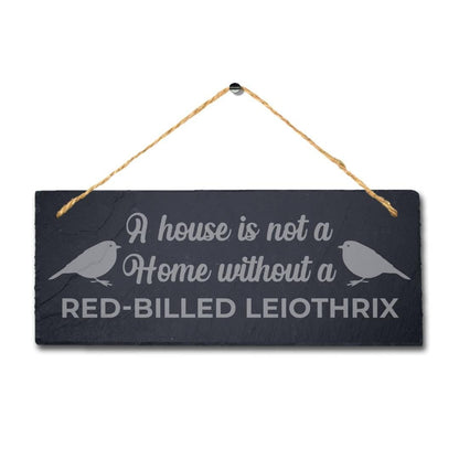 House Is Not Home Without Red Billed Leiothrix Engraved Hanging Slate Bird Sign