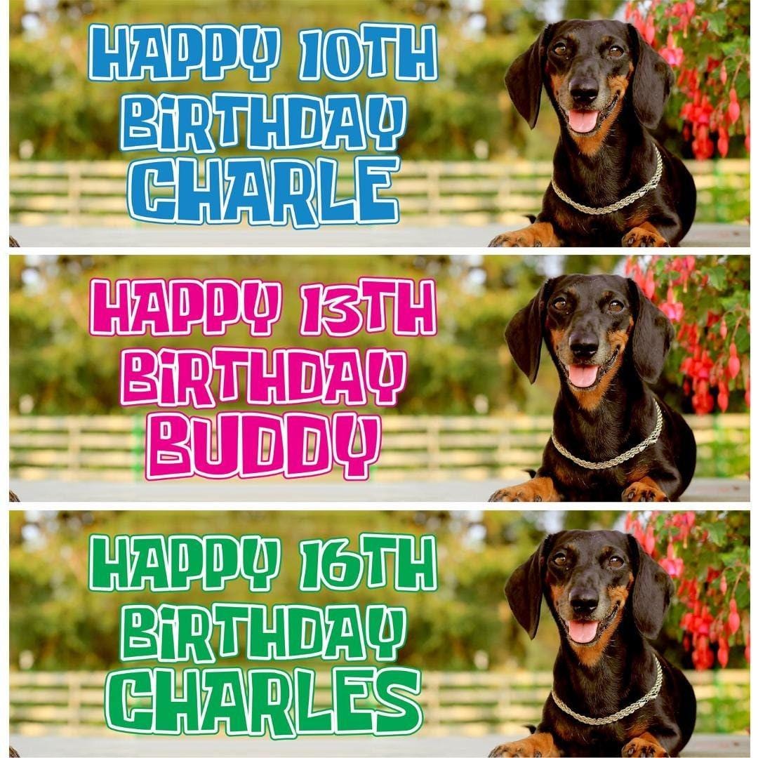 2 Personalised Dachsund Sausage Dog Birthday Party Celebration Banners Posters