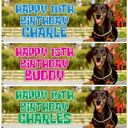 2 Personalised Dachsund Sausage Dog Birthday Party Celebration Banners Posters