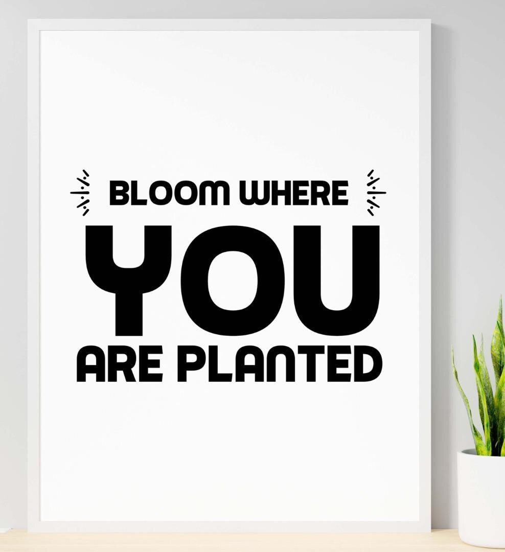 Bloom Where You Planted Motivational Inspirational Positive Quote Poster Wall