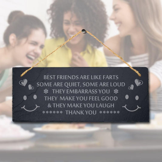 Best Friends Laser Engraved Hanging Slate Friendship Rude Funny Gift Plaque Sign