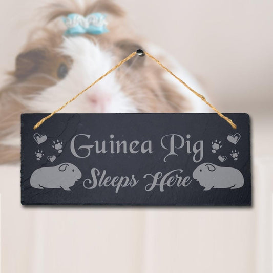 Guinea Pig Sleep Here Laser Engraved Hanging Slate Pig Cote Pigsties Plaque Sign