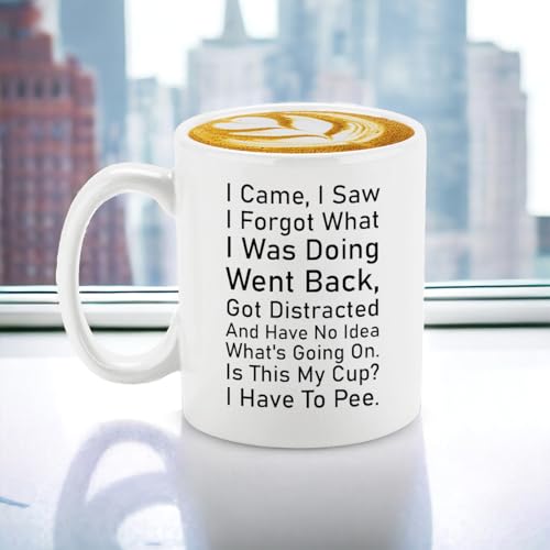 Veracco I Came Saw Forgot Have No Idea Whats | Ceramic Coffee Mug | 11 OZ