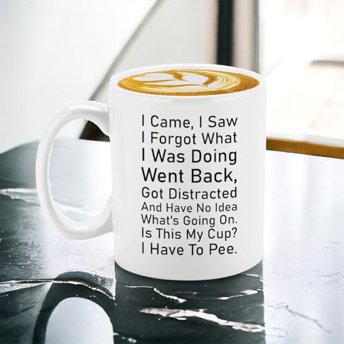 Veracco I Came Saw Forgot Have No Idea Whats | Ceramic Coffee Mug | 11 OZ