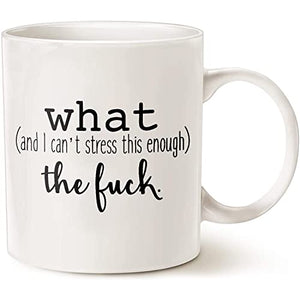 What And I Can t Stress This Enough The Fuck | Ceramic Coffee Mug | 11 OZ
