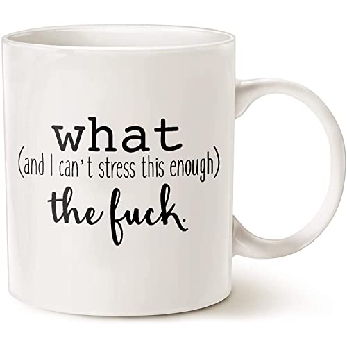 What And I Can t Stress This Enough The Funny | Ceramic Coffee Mug | 11 OZ