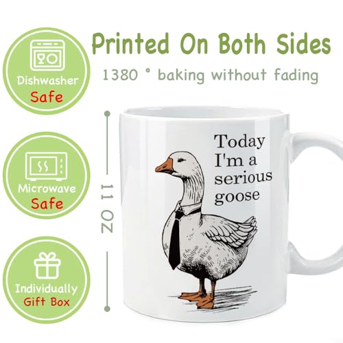 I m a Serious Funny Goose Gift for Nurse Women | Ceramic Coffee Mug | 11 OZ
