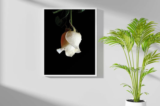 Rose Flower Bedroom Minimalist Plants Wall Art Home Room Decor Print Poster