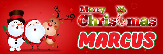 2 Personalised Christmas Santa And Rudolf Party Celebration Banners Posters